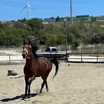 Ride And * Cesme