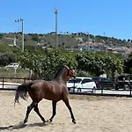 Ride And מלון