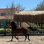 מלון Ride And *