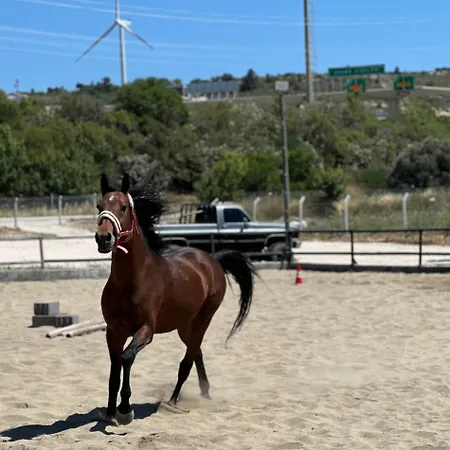 Ride And * Çeşme